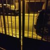 dia 13 de maio de 2019 1.55